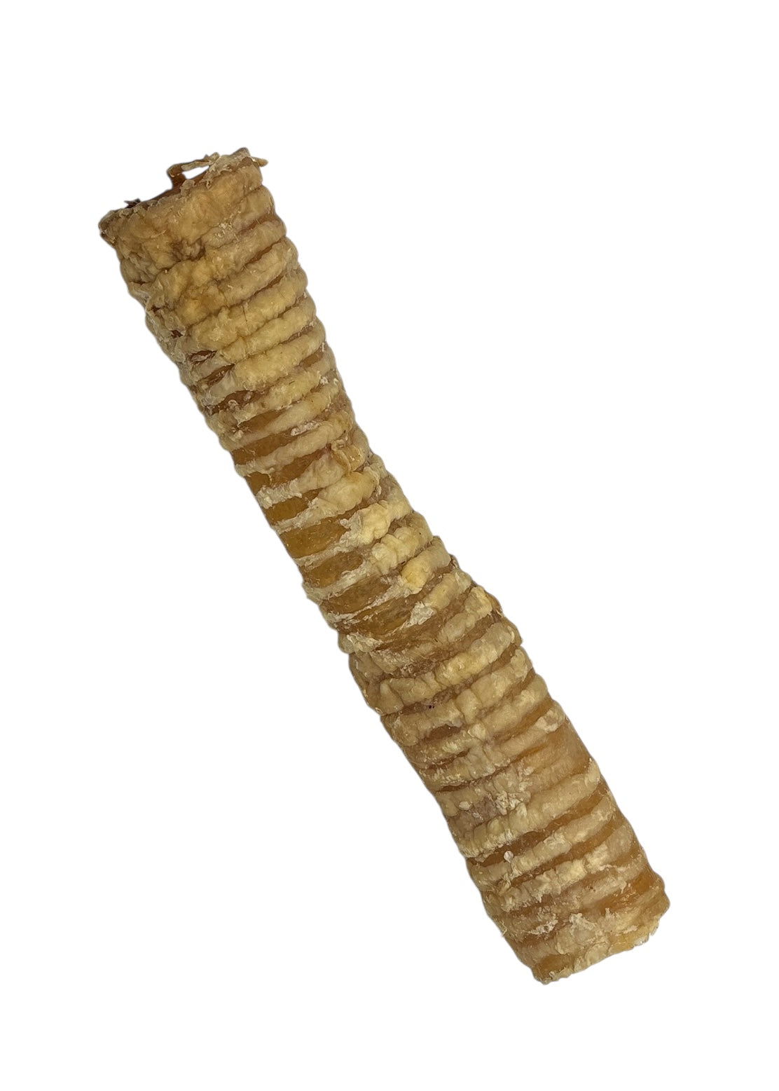 Beef Trachea (Large)