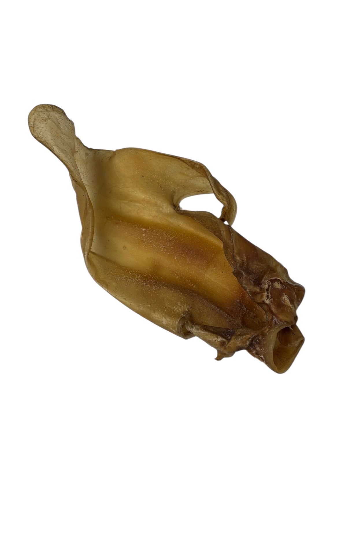 Buffalo Ear