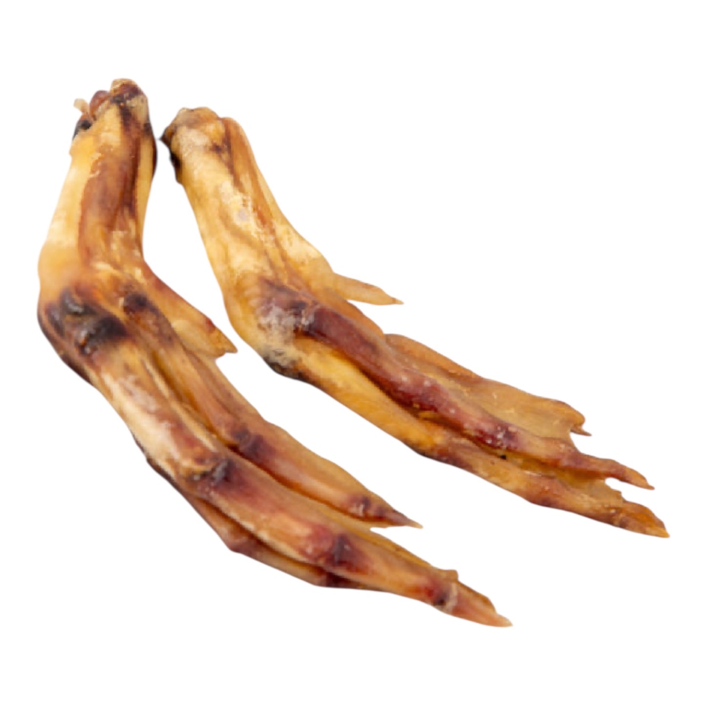Duck Foot