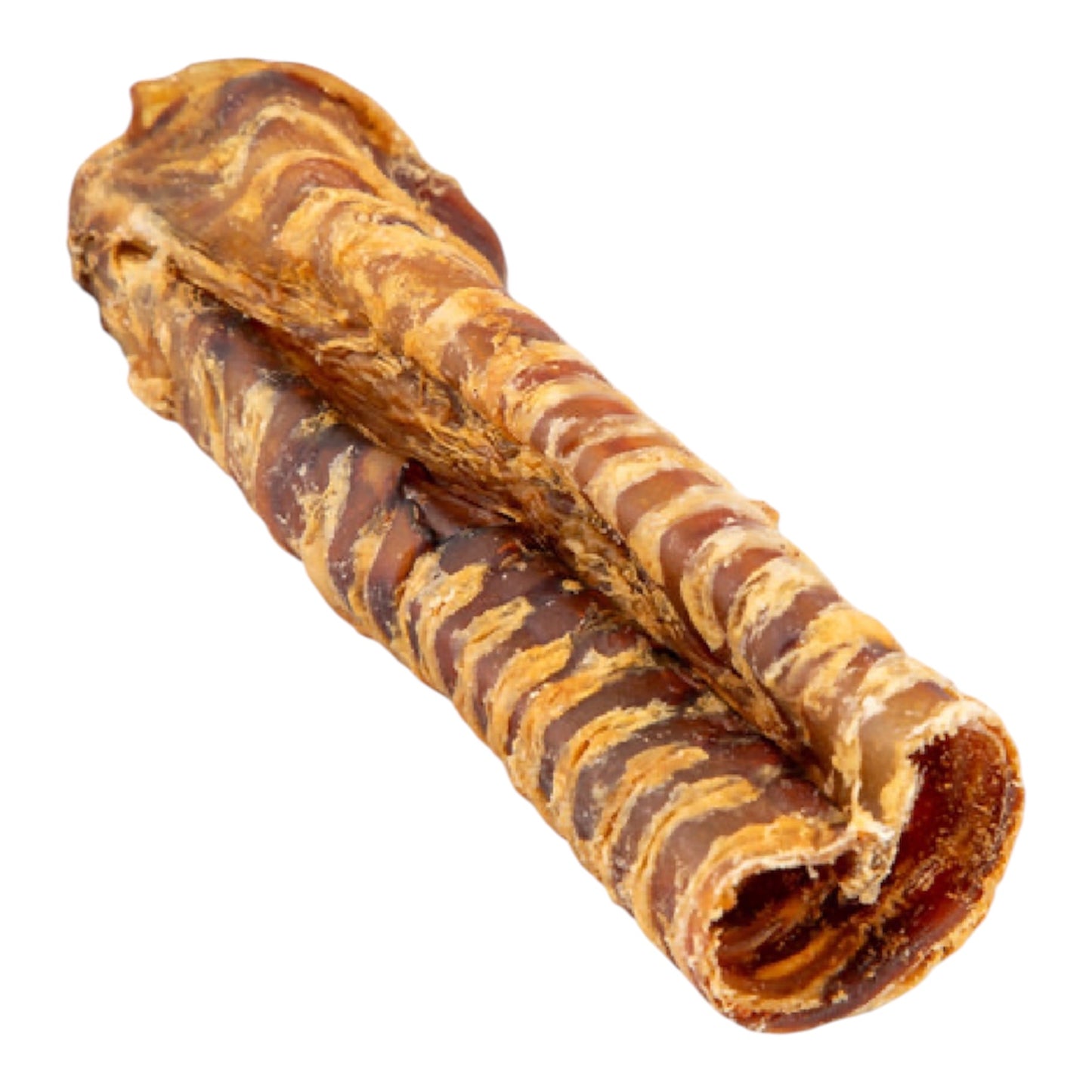Beef Trachea (Small)