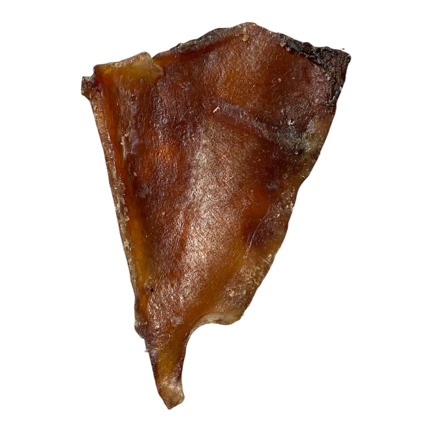 Beef Cartilage (Small)
