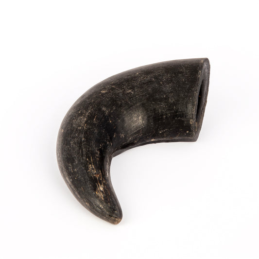 Buffalo Horn - Small