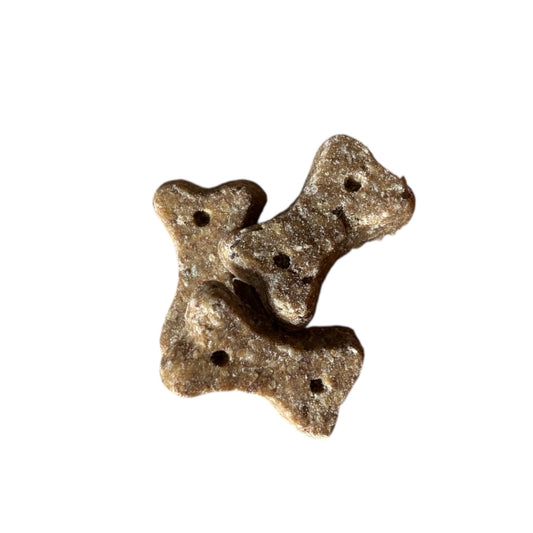 Insect Bone