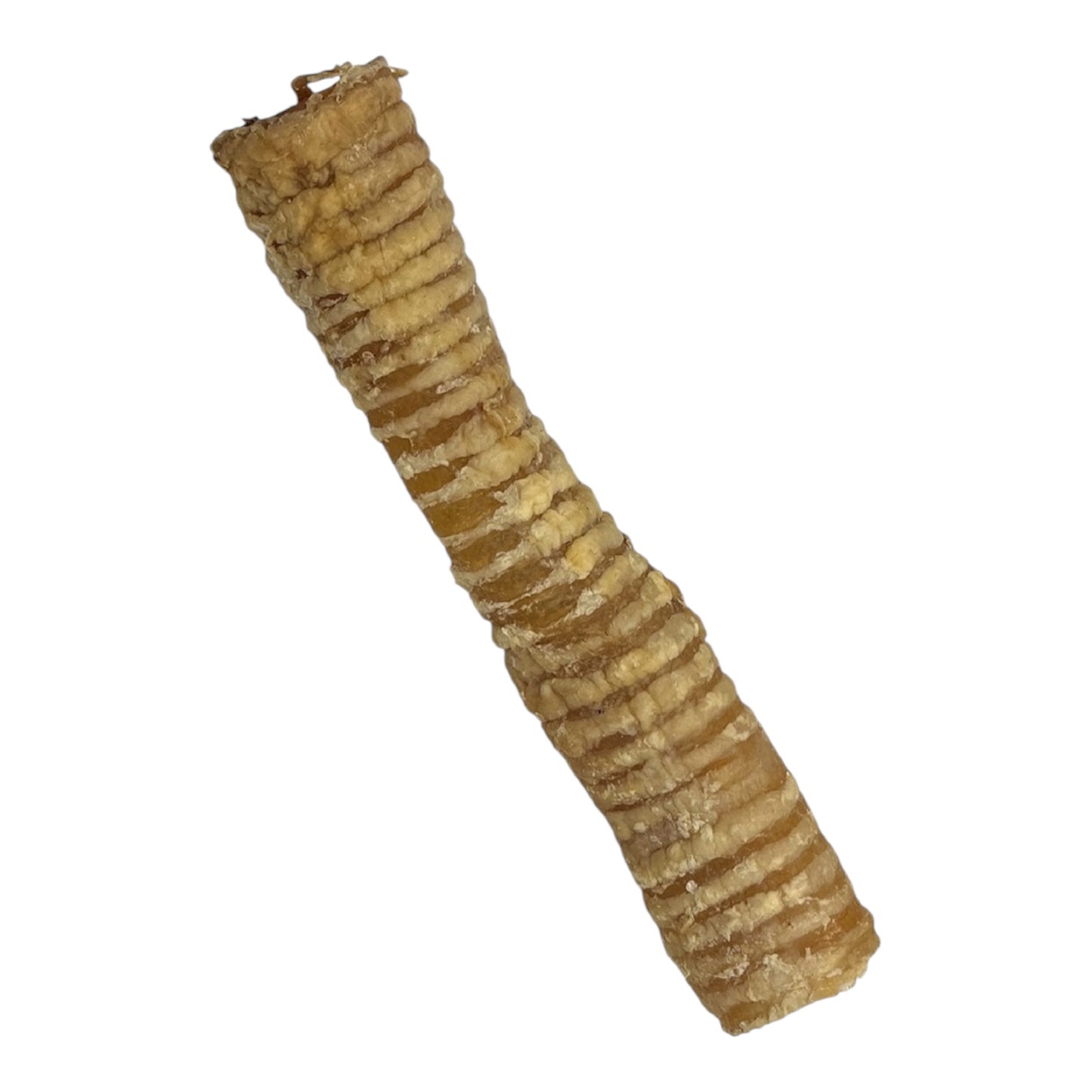 Beef Trachea (Large)