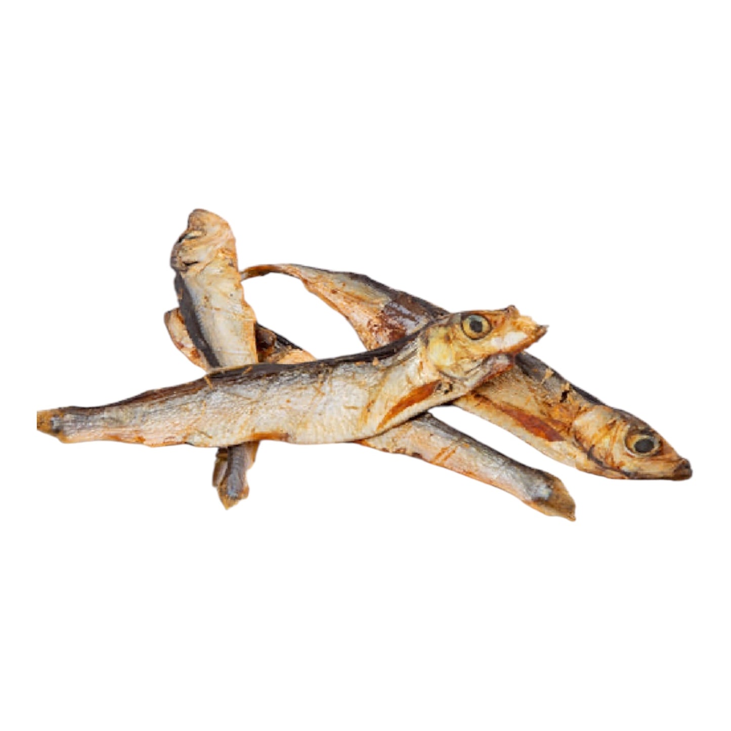 Sprat
