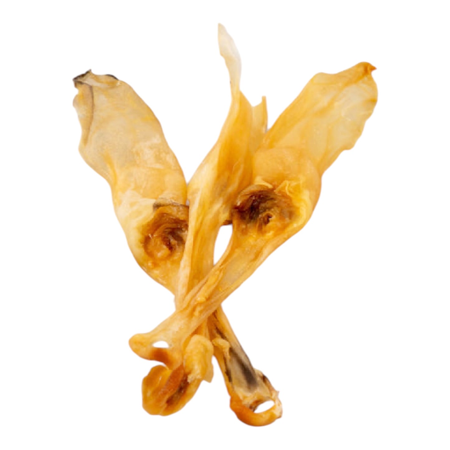 Rabbit Ear