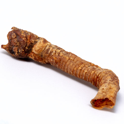 Lamb Trachea